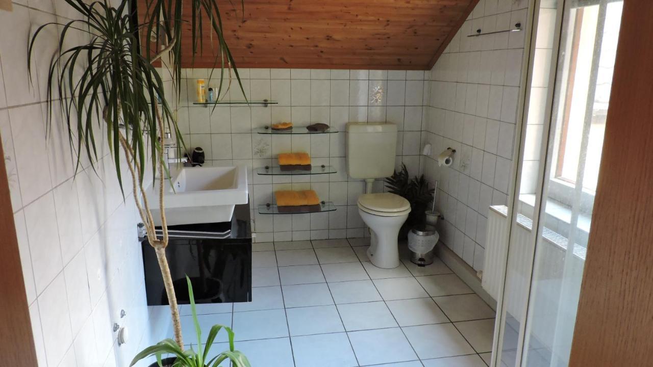 Elbhangzimmer Dresda Exterior foto