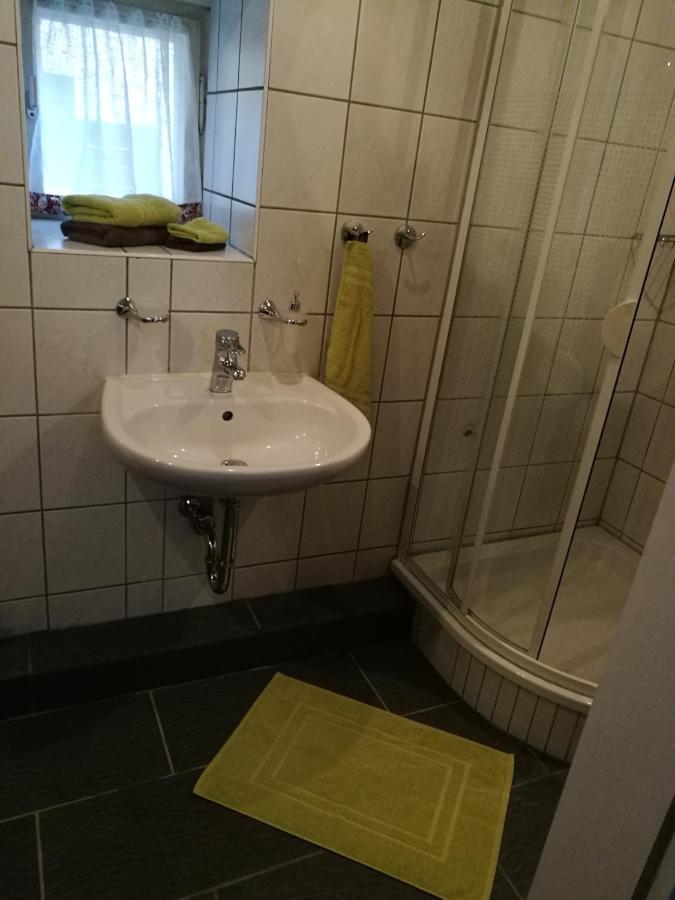 Elbhangzimmer Dresda Exterior foto